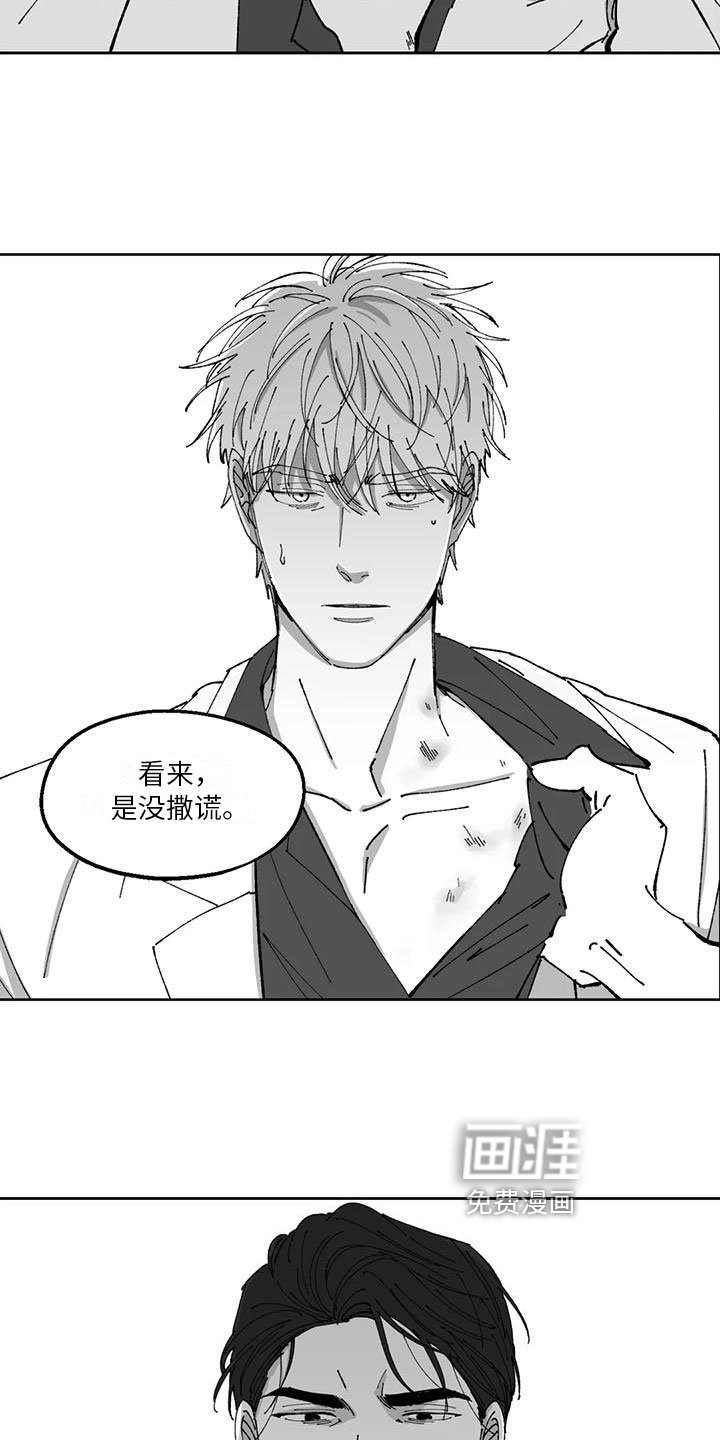 第26章：真话