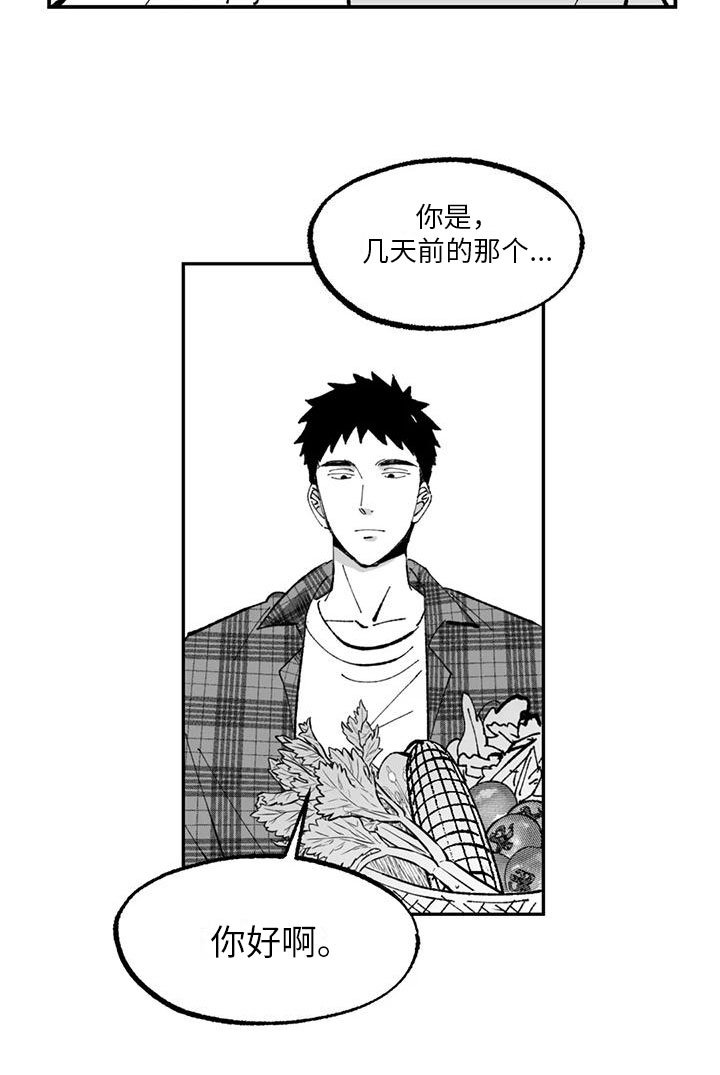 第3章：建议