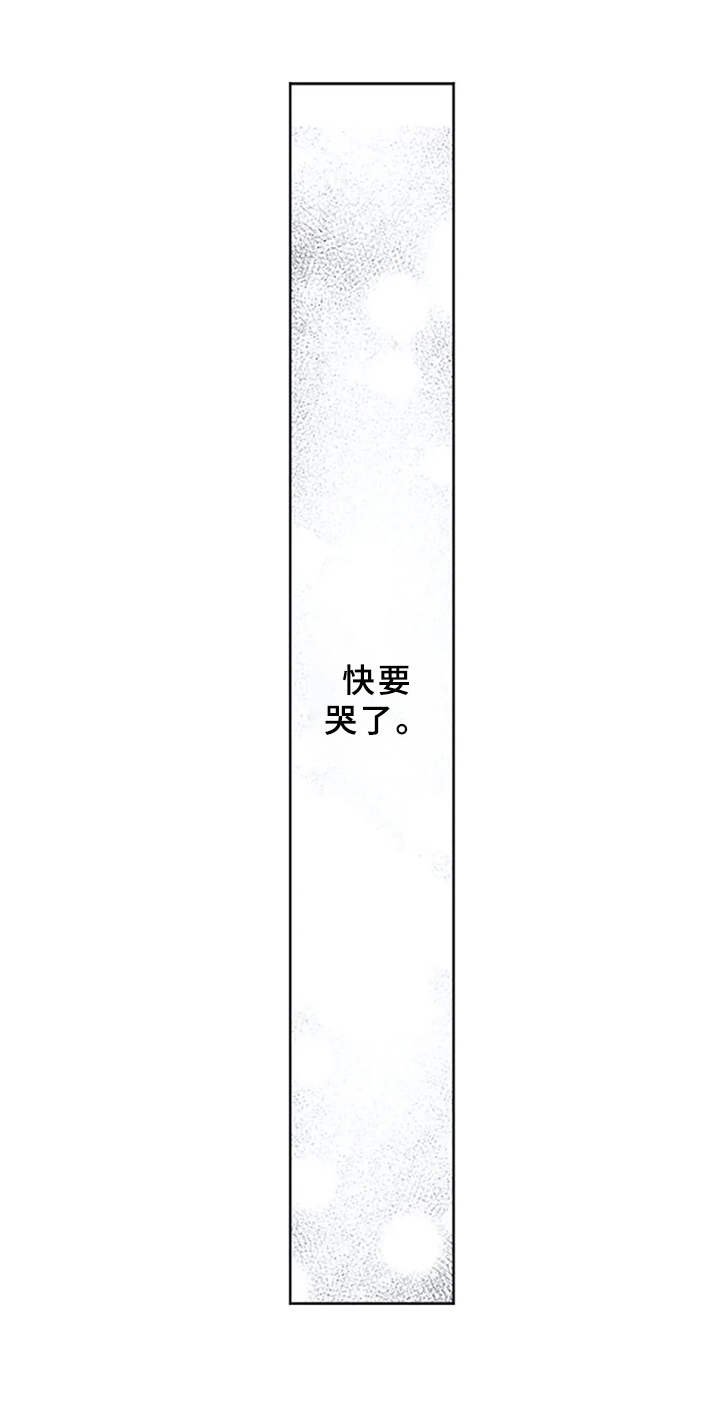 第16章：镜子