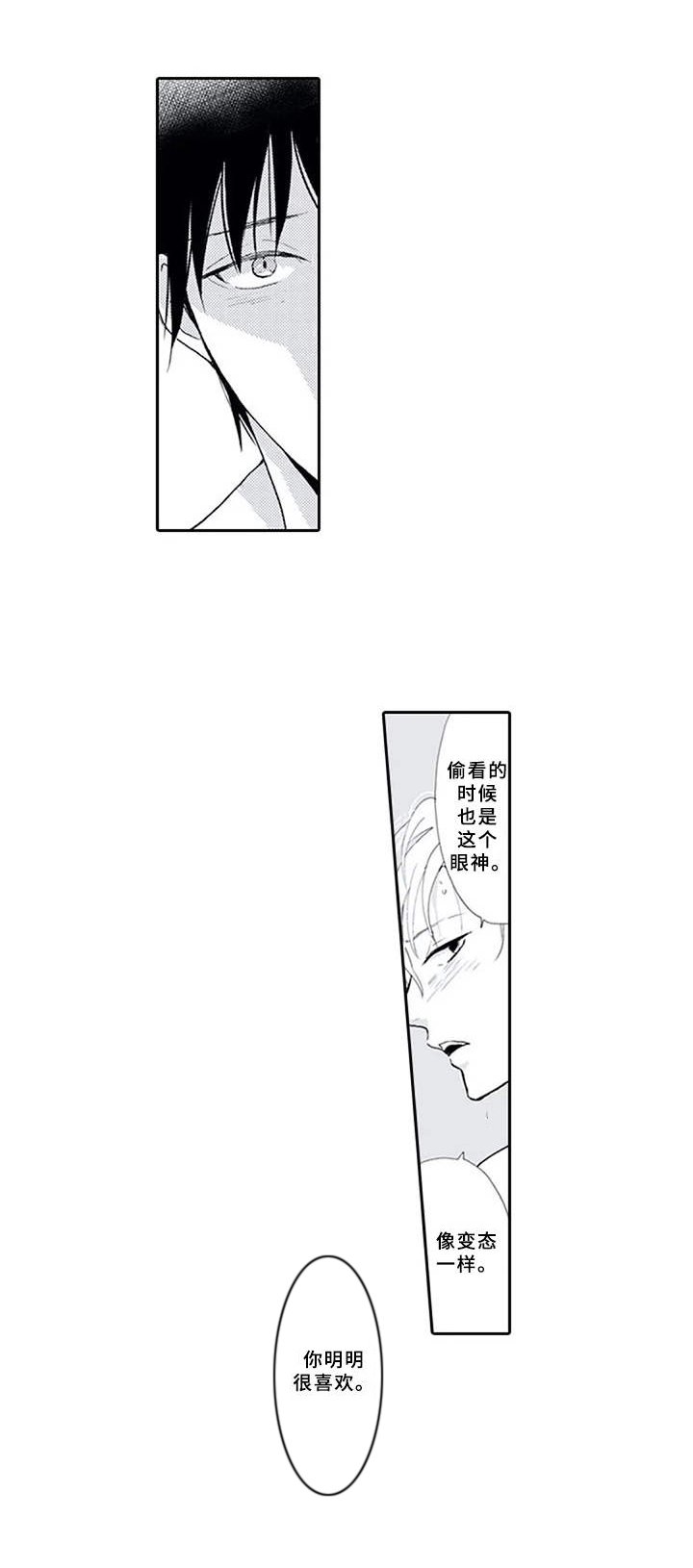 第16章：镜子