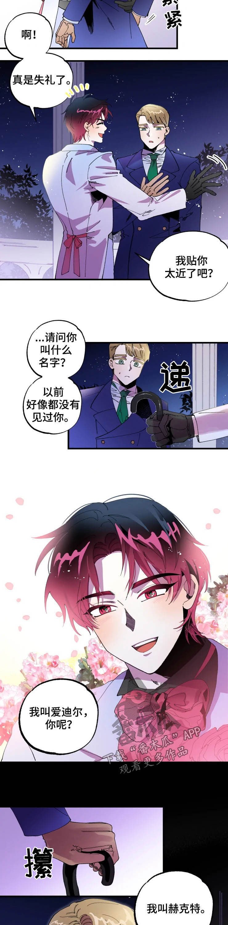 第11章：贴面礼