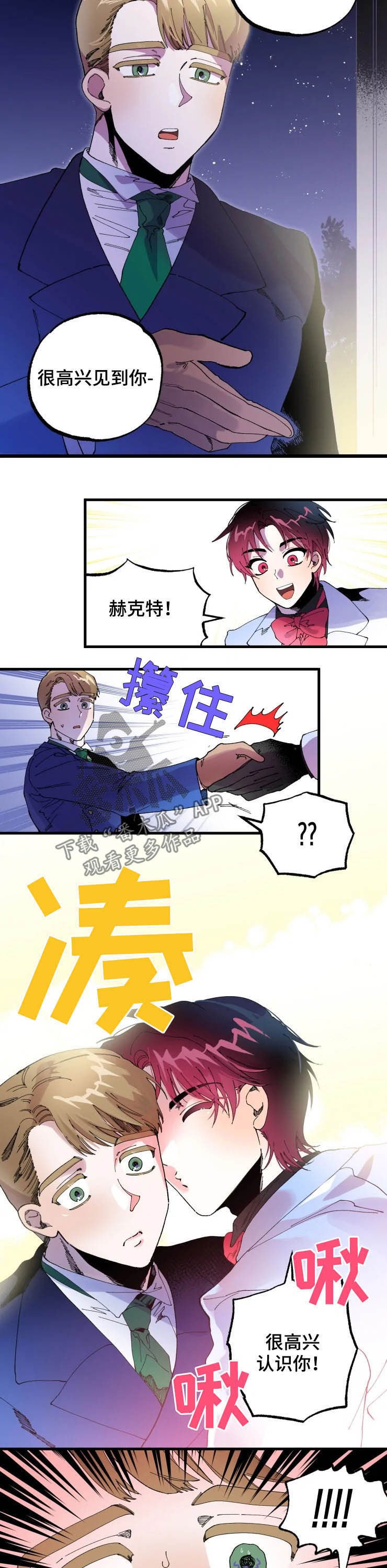 第11章：贴面礼