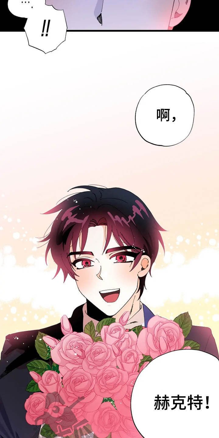 第15章：散步