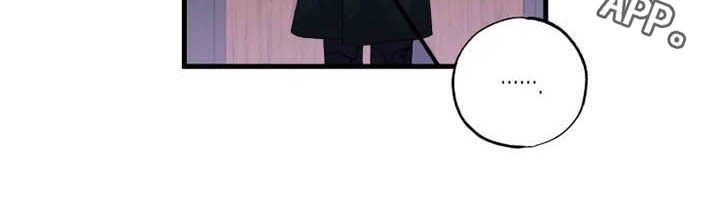 第15章：散步