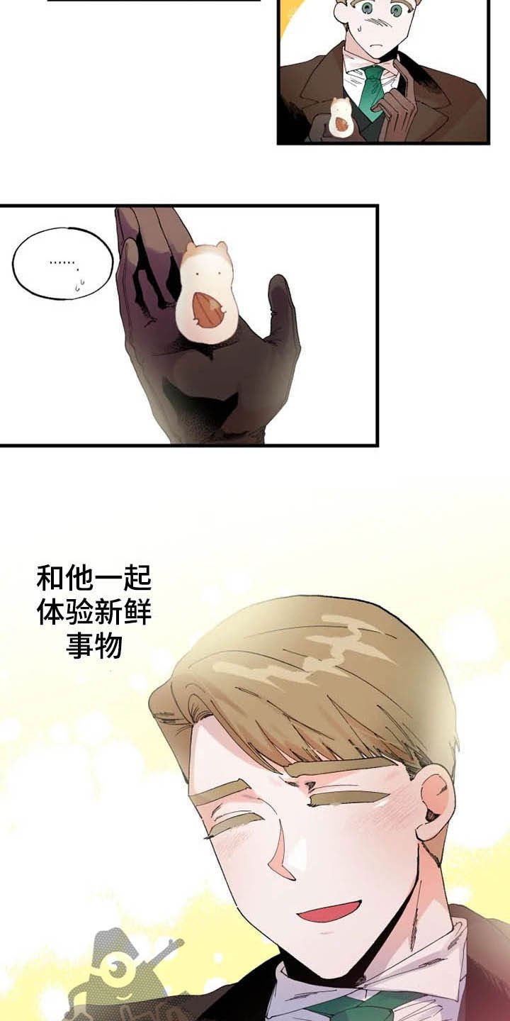 第16章：期待
