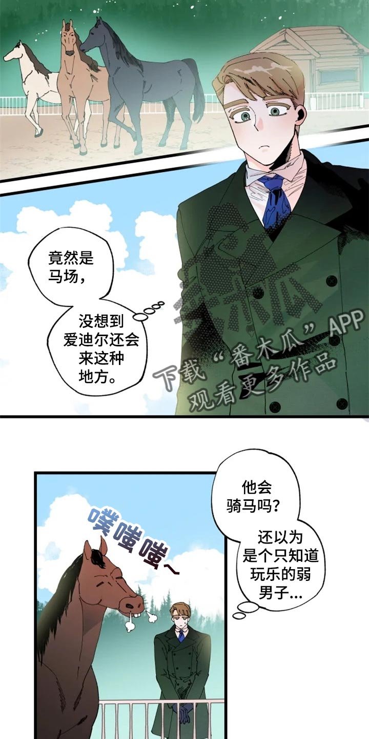 第19章：骑马