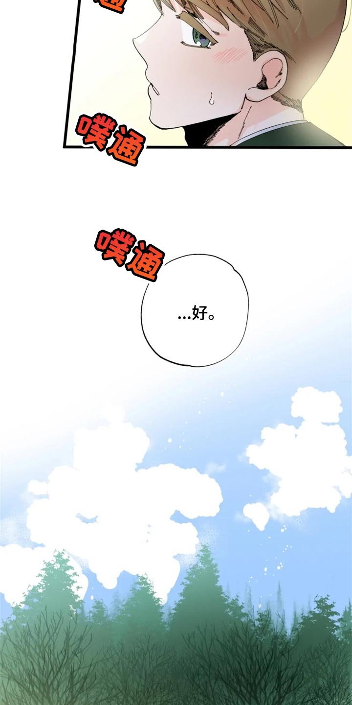 第19章：骑马