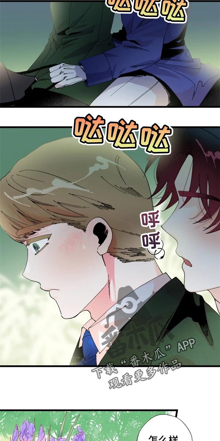 第19章：骑马