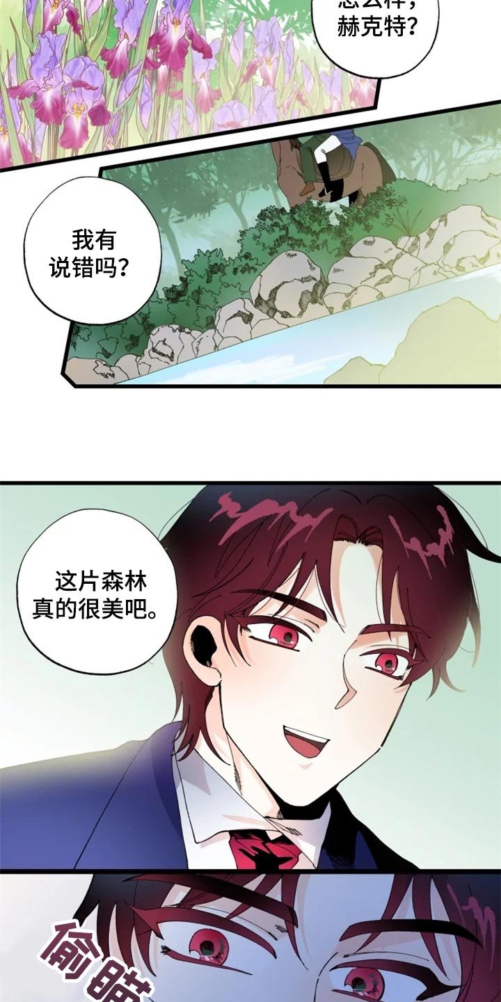 第19章：骑马