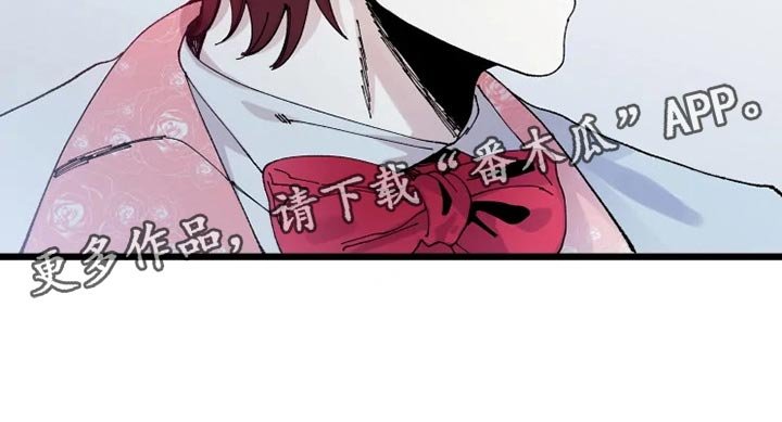 第24章：从来没有爱过