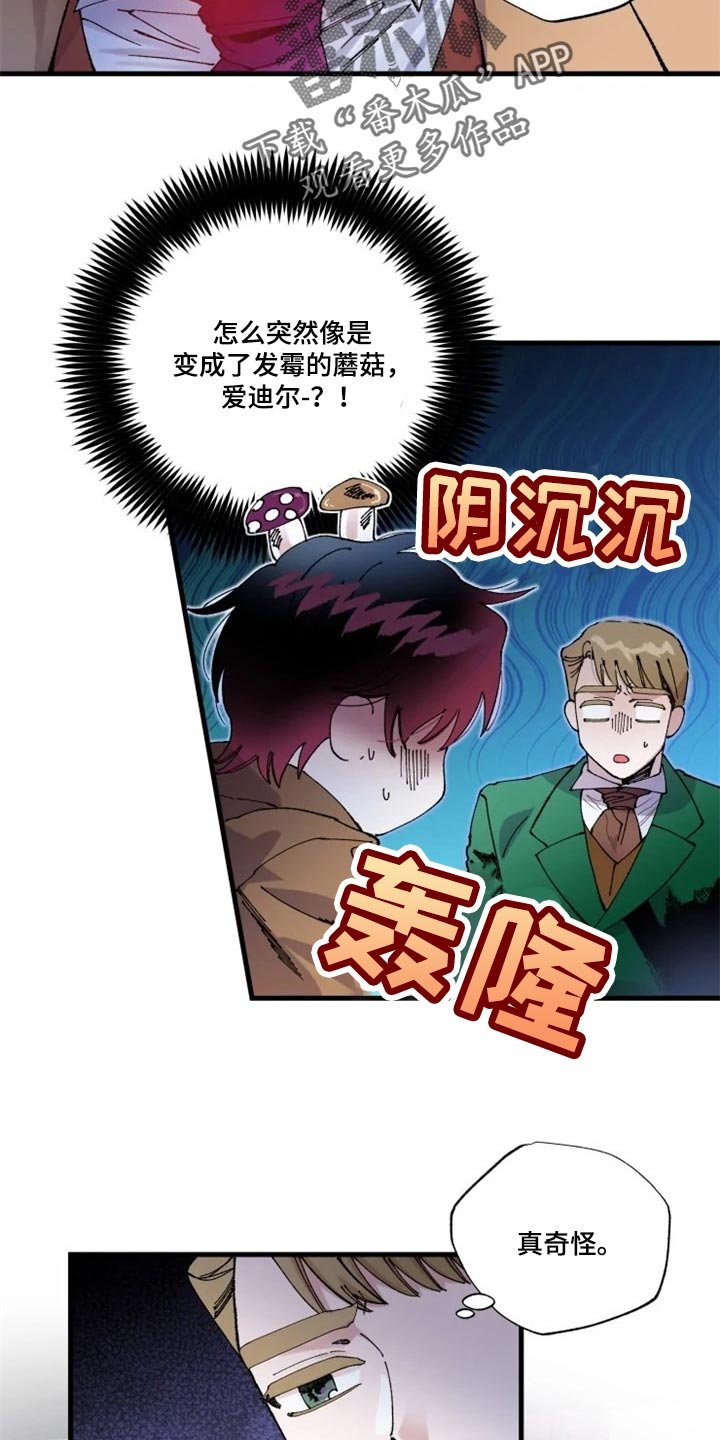 第30章：诅咒