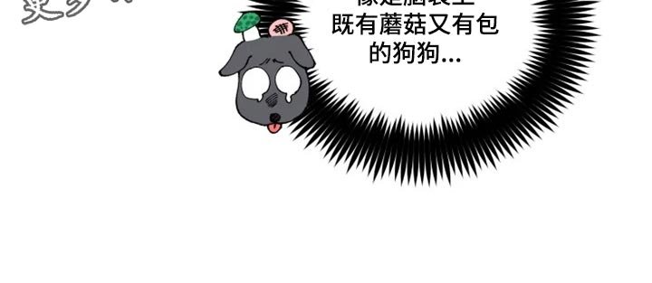 第30章：诅咒