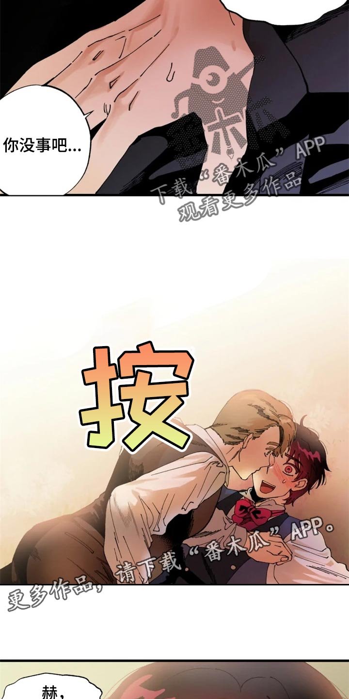 第35章：训练