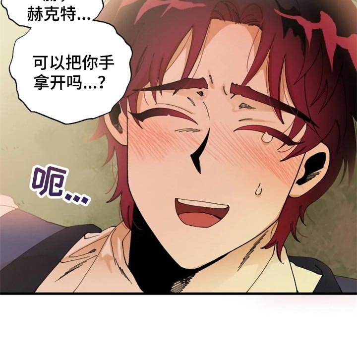 第35章：训练