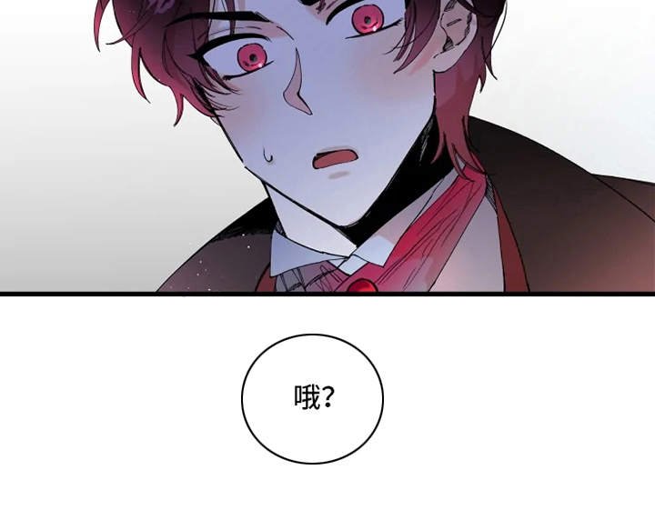 第4章：饼干