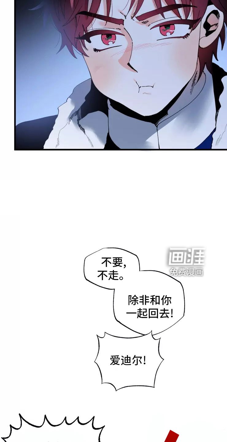 第66章：不听话的笨蛋