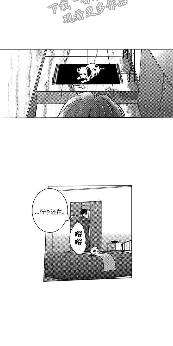 第17章：寻找