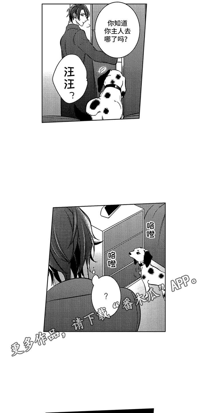 第17章：寻找