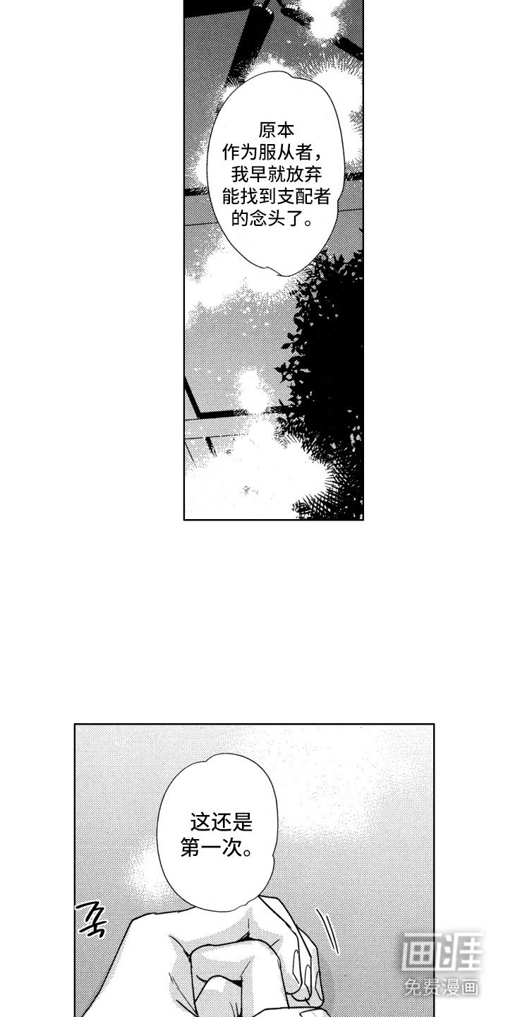 第12章：陷入爱情