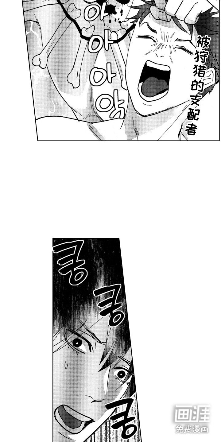第15章：聊聊吧