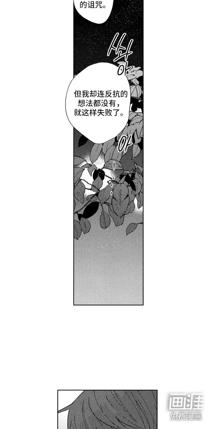 第17章：表白