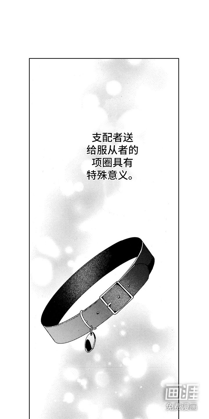 第19章：项圈