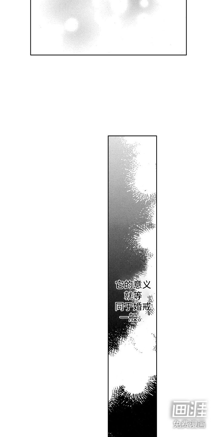第19章：项圈