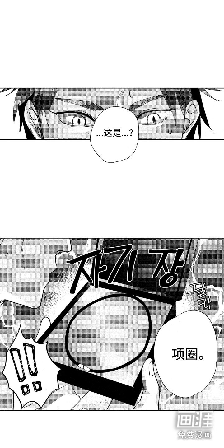 第19章：项圈