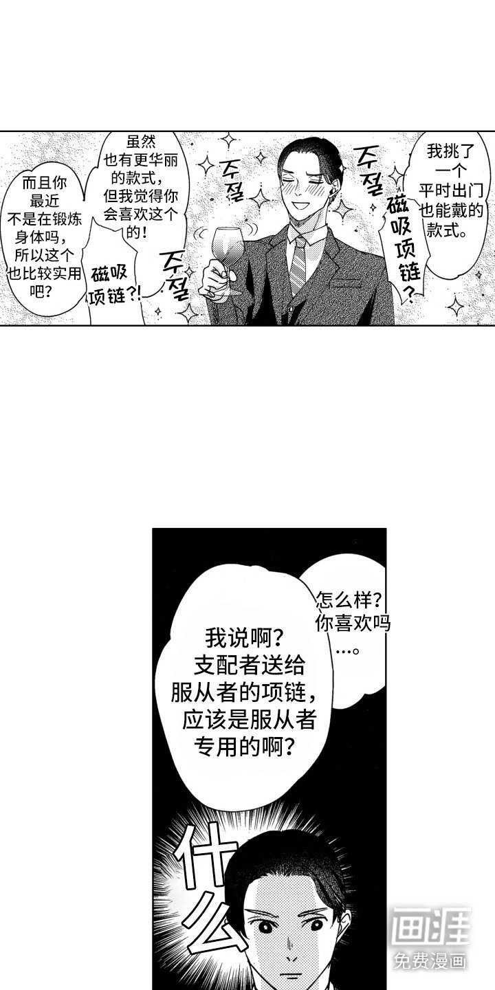 第19章：项圈