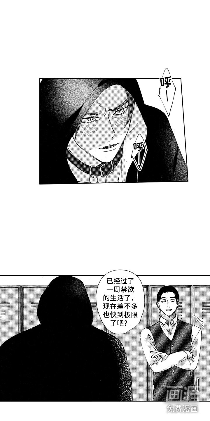 第23章：奖励（完结）