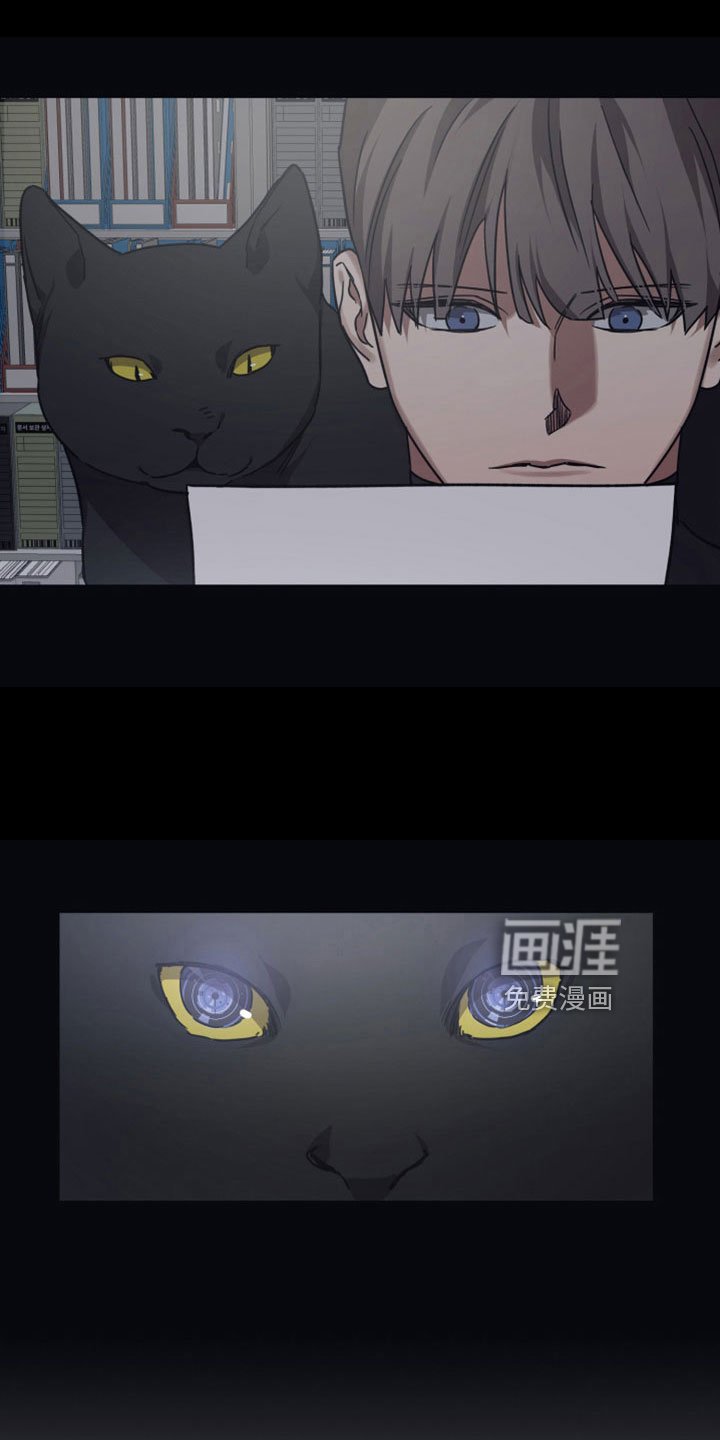 第103章：【第二季】碰面