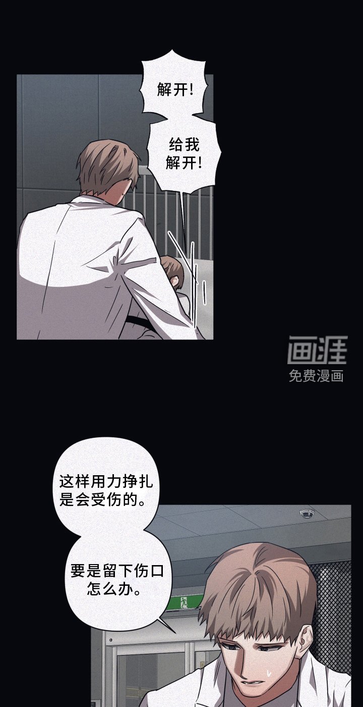 第123章：【第二季】新的伙伴