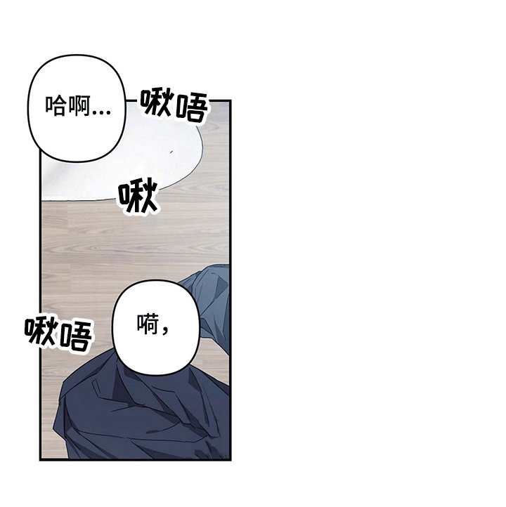 第14章：求助