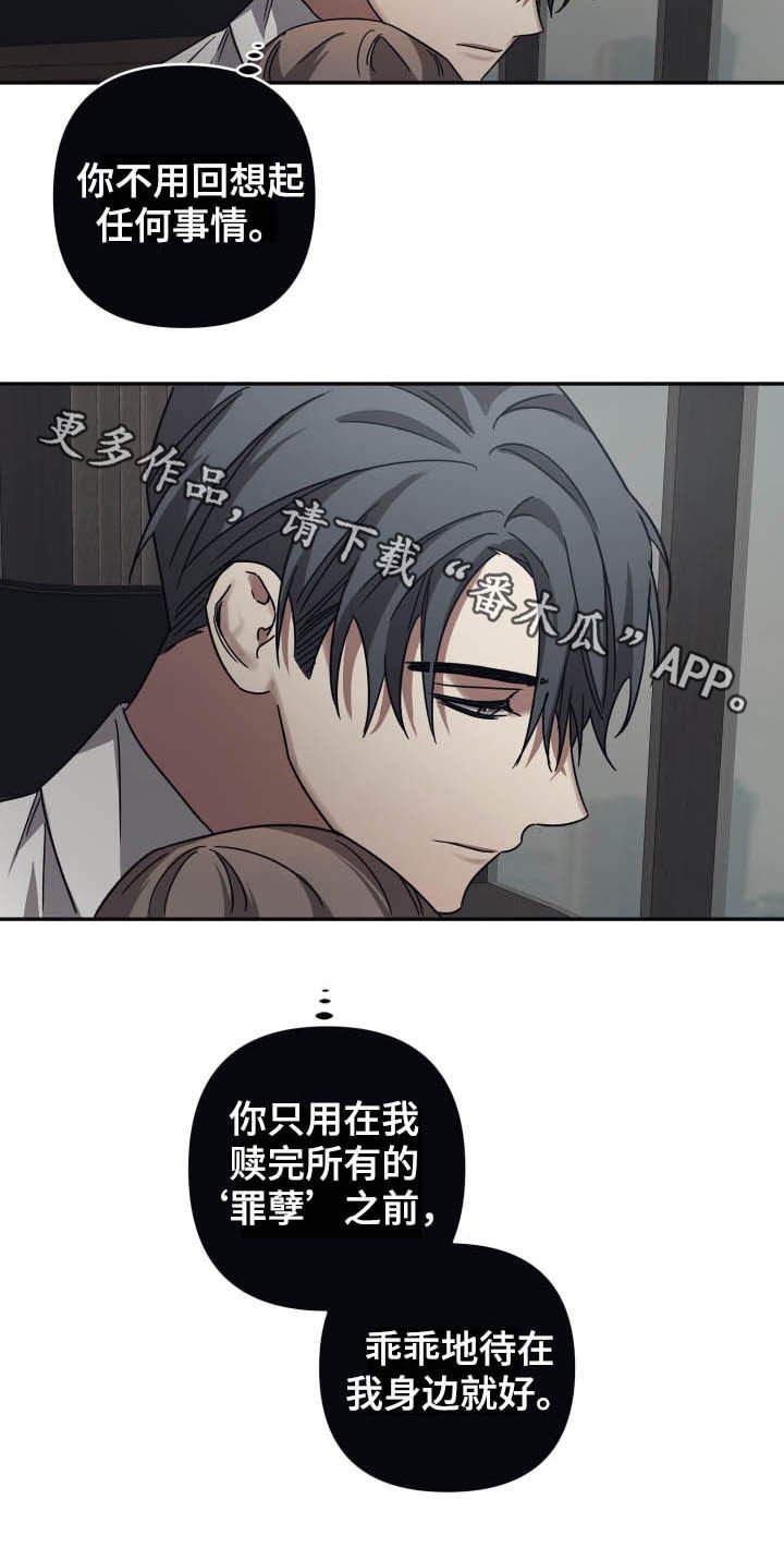 第41章：寻找回忆