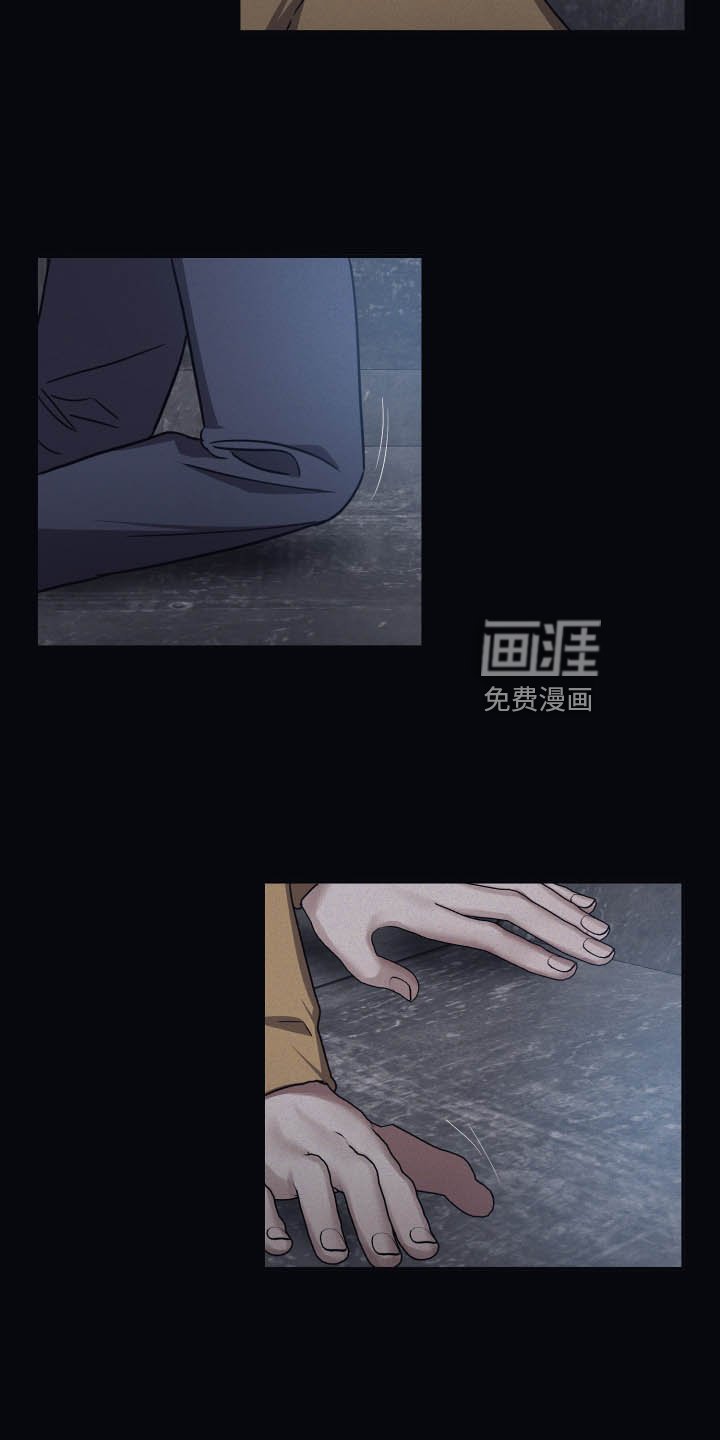第75章：【第二季】新朋友
