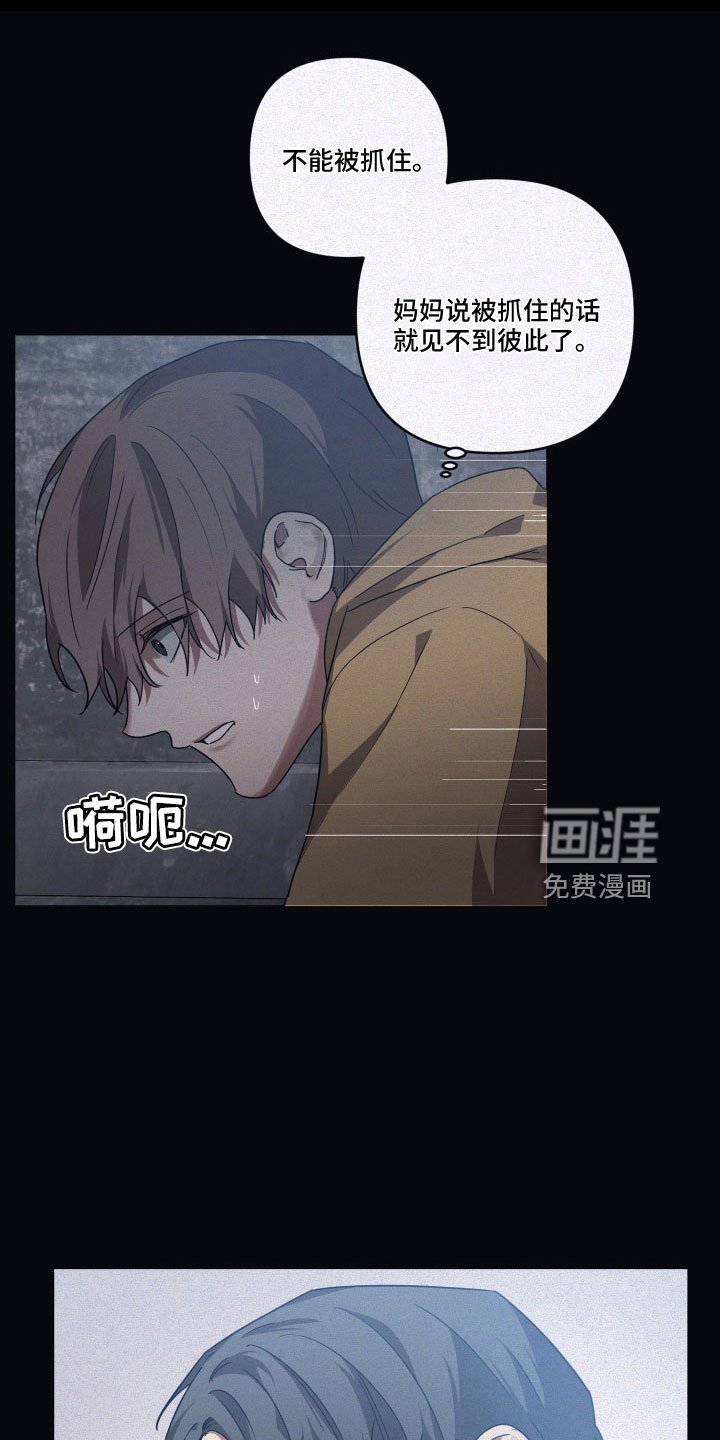 第84章：【第二季】没打算出去