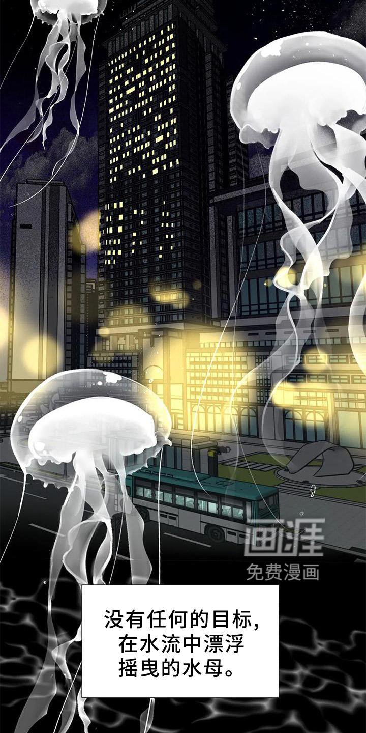 第31章：消息