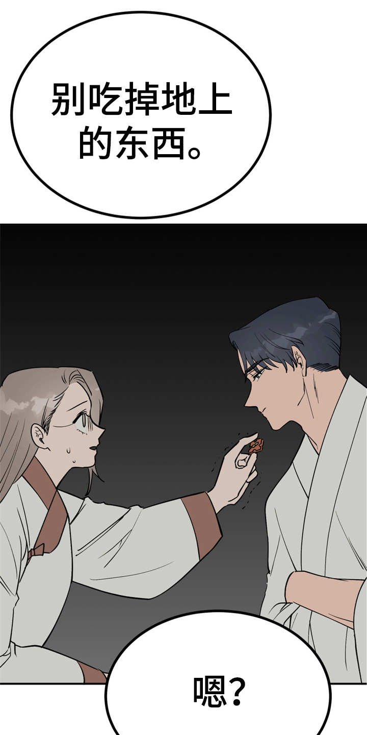 第13章：喂食