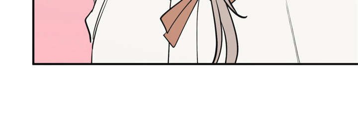 第13章：喂食