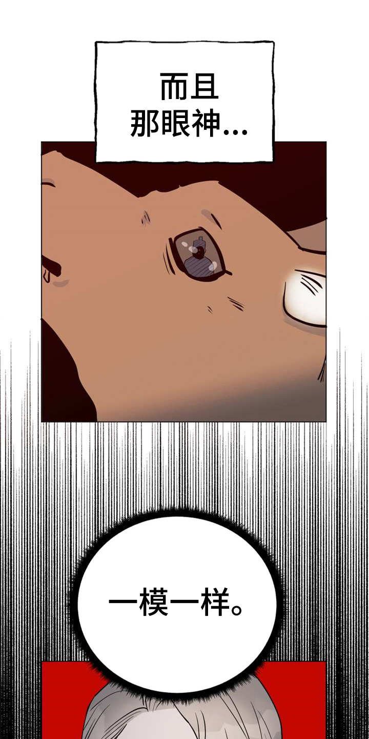 第2章：眼神