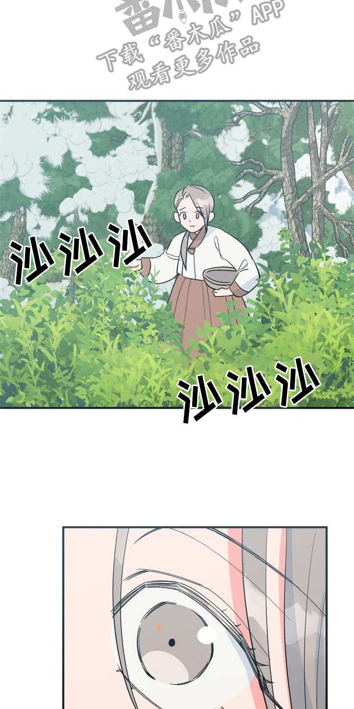 第21章：采摘