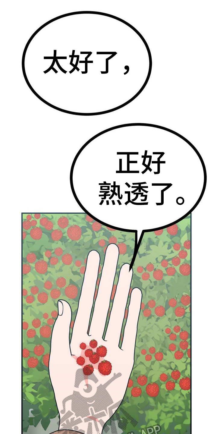 第21章：采摘