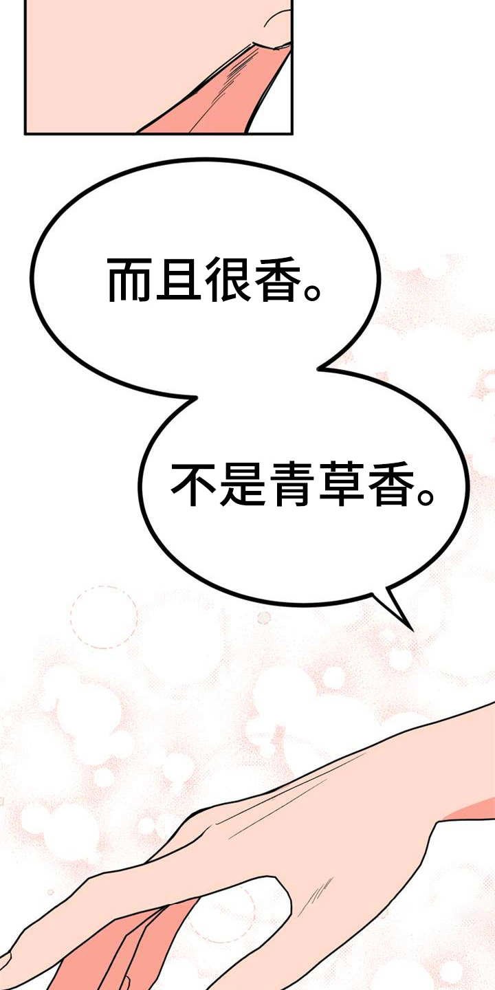第23章：香味