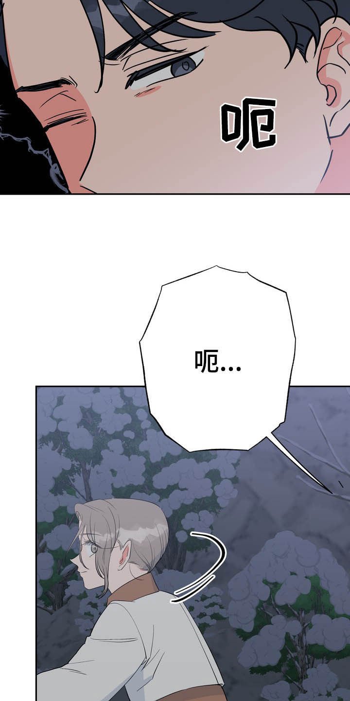 第28章：毒蛇