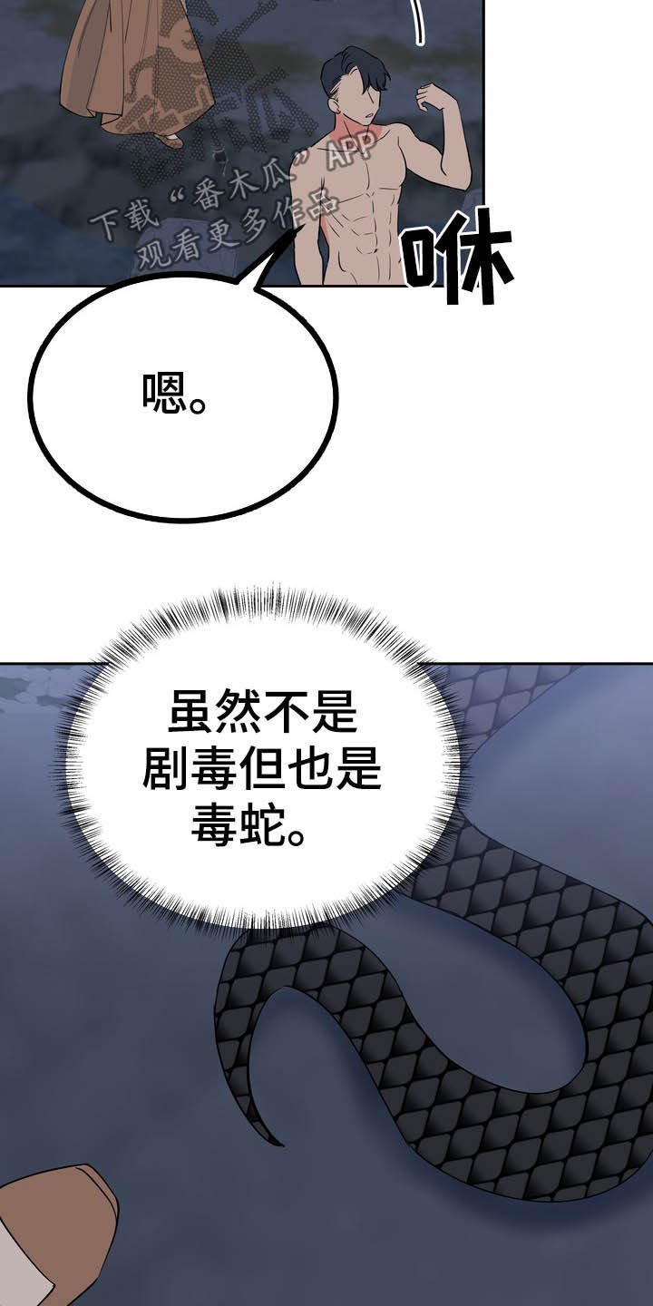 第28章：毒蛇