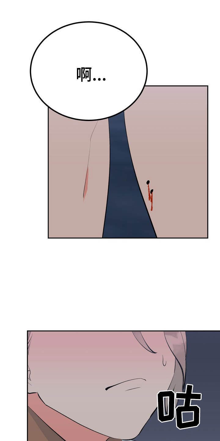 第28章：毒蛇