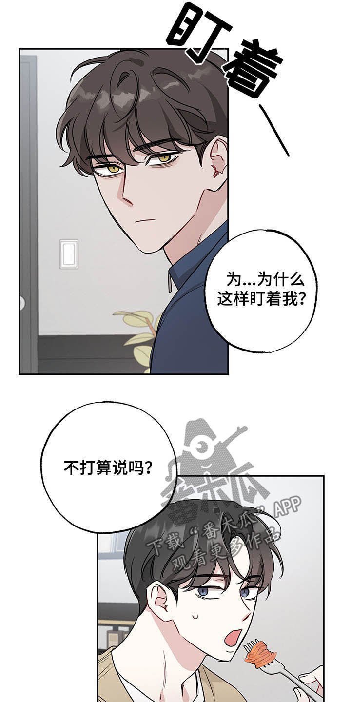 第16章：全盘托出
