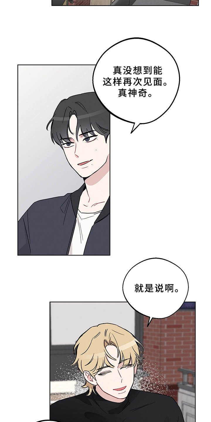 第3章：再次见面