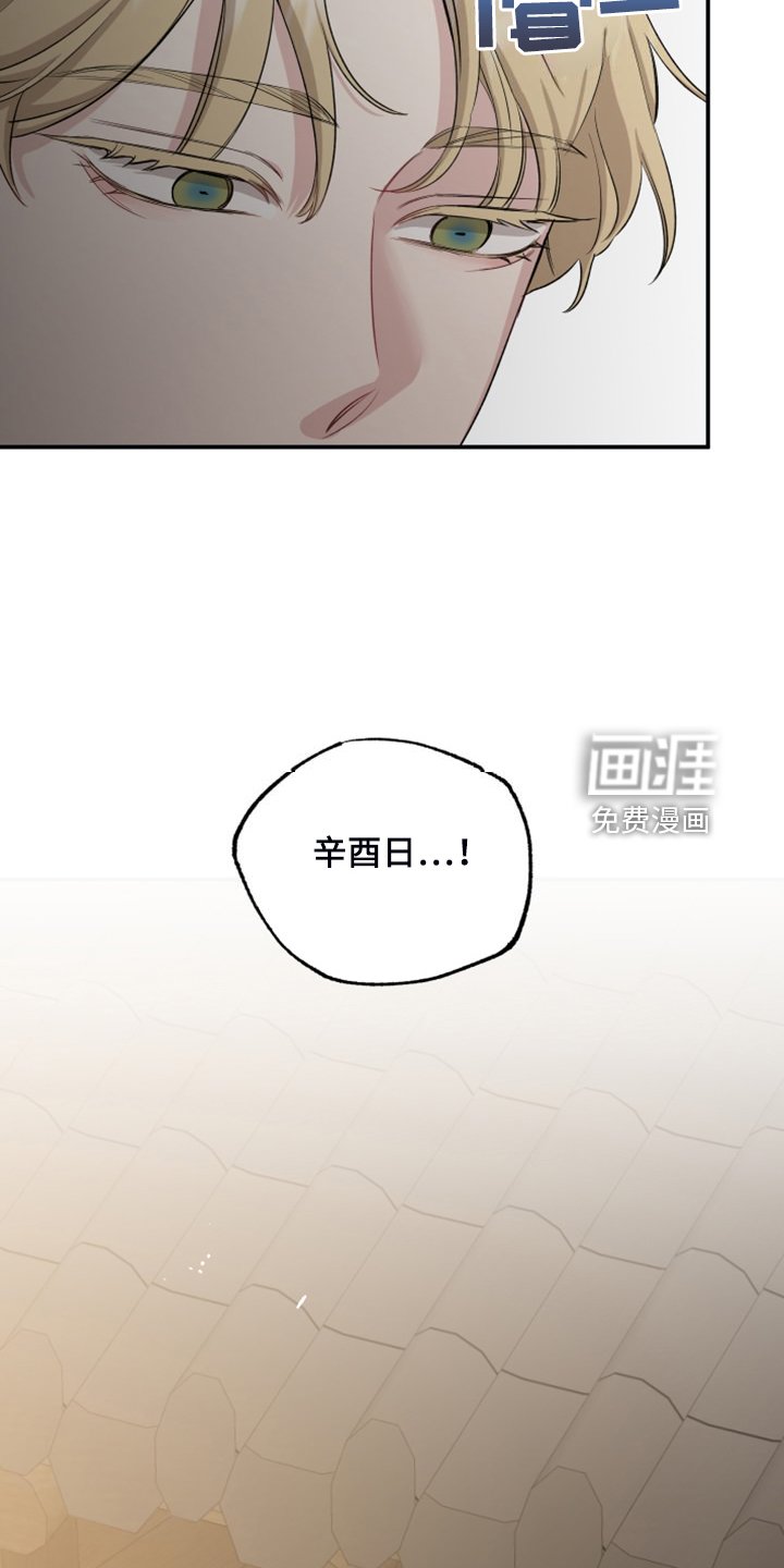 第49章：回到现实