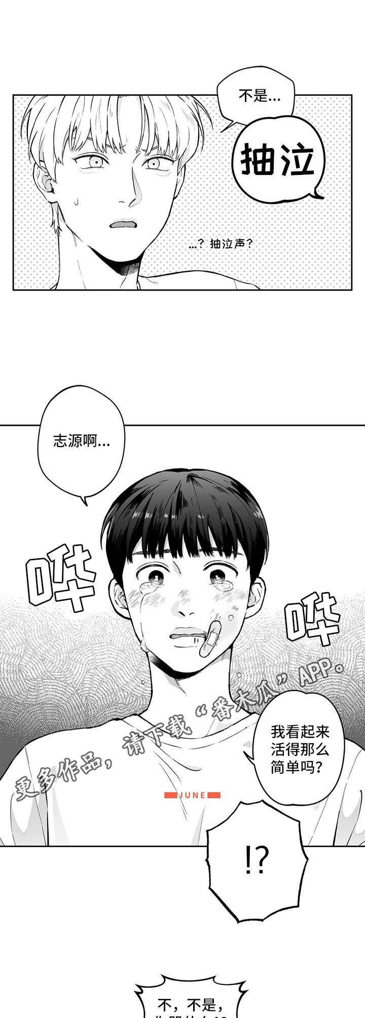 第15章：道歉